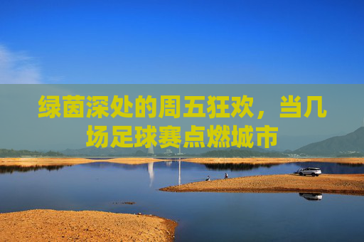 绿茵深处的周五狂欢,当几场足球赛点燃城市