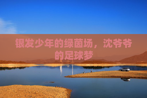 银发少年的绿茵场，沈爷爷的足球梦