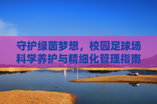 守护绿茵梦想，校园足球场科学养护与精细化管理指南