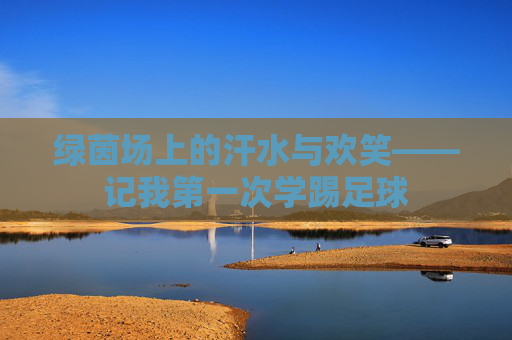 绿茵场上的汗水与欢笑——记我第一次学踢足球