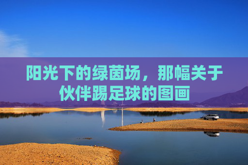 阳光下的绿茵场,那幅关于伙伴踢足球的图画