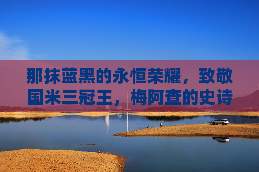 那抹蓝黑的永恒荣耀,致敬国米三冠王,梅阿查的史诗篇章
