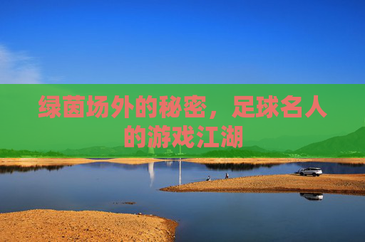 绿茵场外的秘密,足球名人的游戏江湖