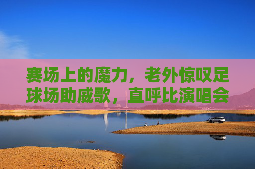 赛场上的魔力，老外惊叹足球场助威歌，直呼比演唱会还燃