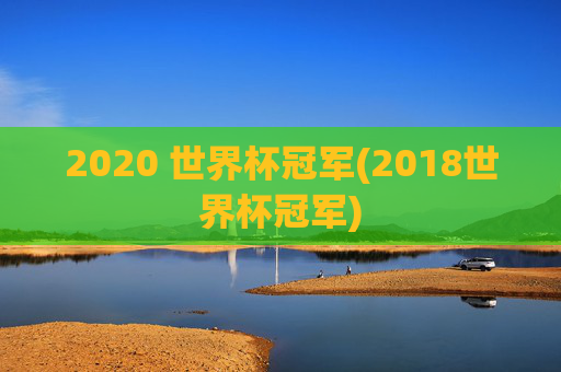 2020 世界杯冠军(2018世界杯冠军)