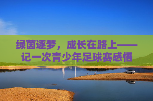 绿茵逐梦，成长在路上——记一次青少年足球赛感悟