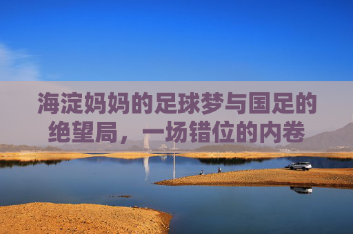 海淀妈妈的足球梦与国足的绝望局,一场错位的内卷