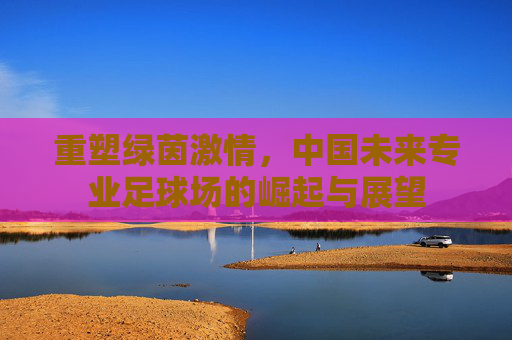 重塑绿茵激情,中国未来专业足球场的崛起与展望
