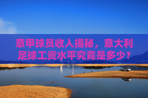 意甲球员收入揭秘,意大利足球工资水平究竟是多少?