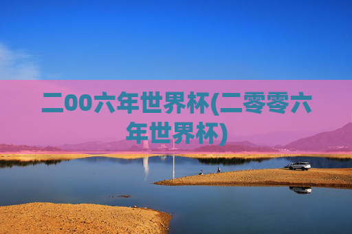 二00六年世界杯(二零零六年世界杯)