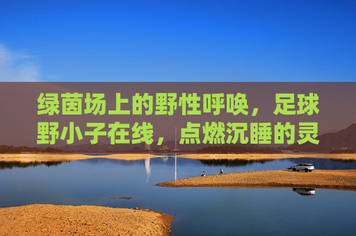 绿茵场上的野性呼唤,足球野小子在线,点燃沉睡的灵魂
