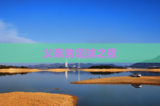 父亲的足球之夜