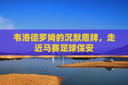 韦洛德罗姆的沉默盾牌,走近马赛足球保安