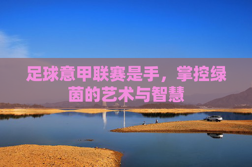 足球意甲联赛是手,掌控绿茵的艺术与智慧