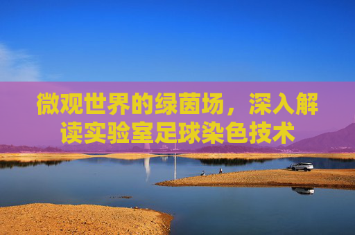 微观世界的绿茵场，深入解读实验室足球染色技术