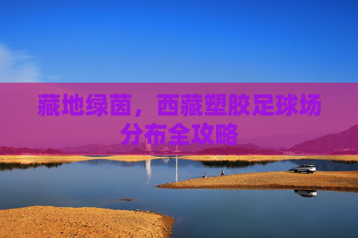 藏地绿茵,西藏塑胶足球场分布全攻略