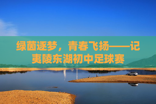 绿茵逐梦，青春飞扬——记夷陵东湖初中足球赛