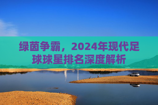 绿茵争霸,2024年现代足球球星排名深度解析