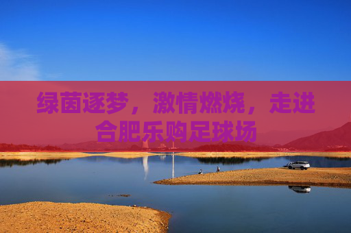绿茵逐梦,激情燃烧,走进合肥乐购足球场