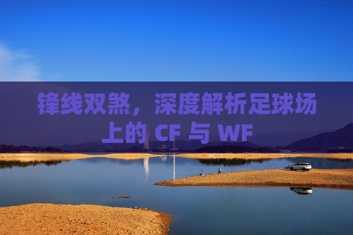 锋线双煞，深度解析足球场上的 CF 与 WF