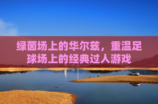 绿茵场上的华尔兹，重温足球场上的经典过人游戏