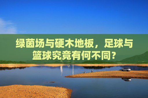 绿茵场与硬木地板,足球与篮球究竟有何不同?