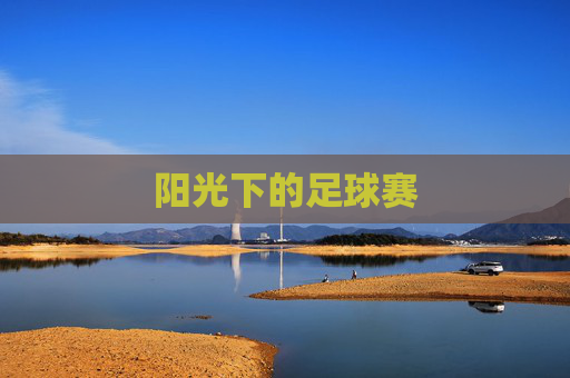 阳光下的足球赛