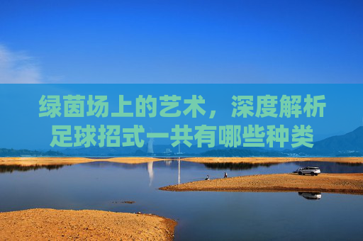 绿茵场上的艺术，深度解析足球招式一共有哪些种类