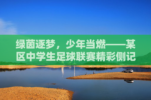 绿茵逐梦,少年当燃——某区中学生足球联赛精彩侧记