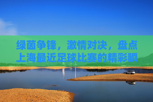 绿茵争锋,激情对决,盘点上海最近足球比赛的精彩瞬间