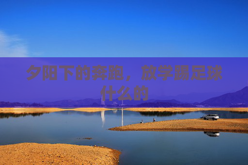 夕阳下的奔跑，放学踢足球什么的