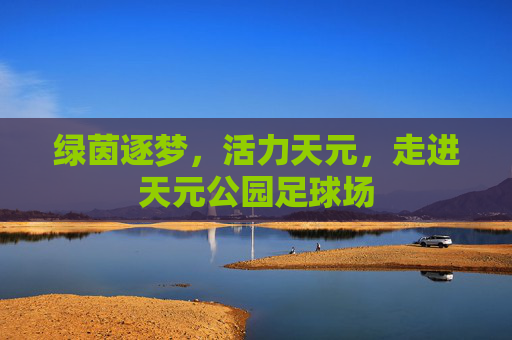 绿茵逐梦，活力天元，走进天元公园足球场