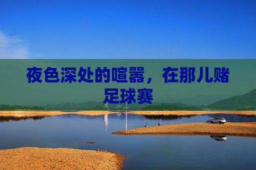 夜色深处的喧嚣,在那儿赌足球赛