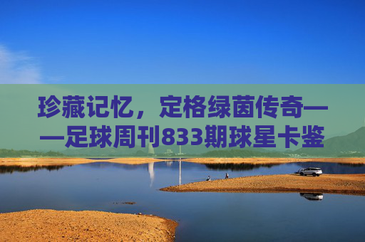 珍藏记忆,定格绿茵传奇——足球周刊833期球星卡鉴赏