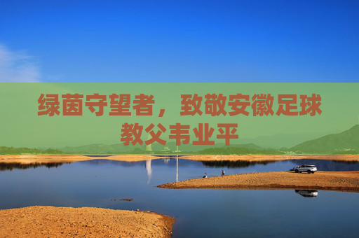 绿茵守望者,致敬安徽足球教父韦业平