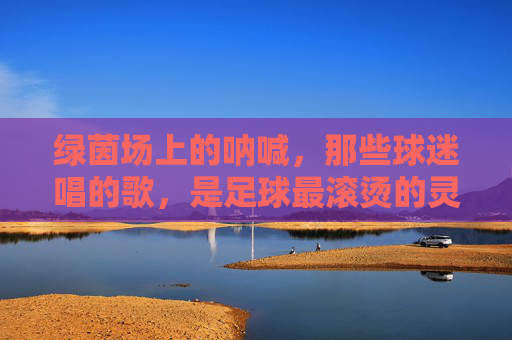 绿茵场上的呐喊，那些球迷唱的歌，是足球最滚烫的灵魂