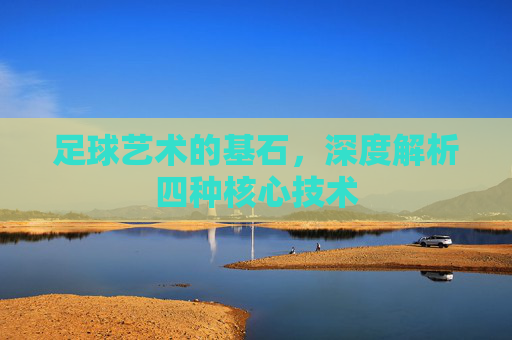 足球艺术的基石,深度解析四种核心技术