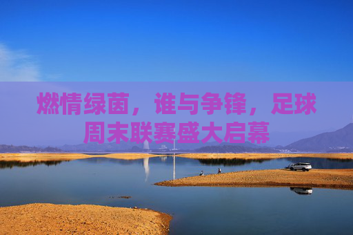 燃情绿茵,谁与争锋,足球周末联赛盛大启幕