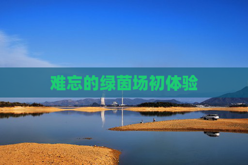 难忘的绿茵场初体验