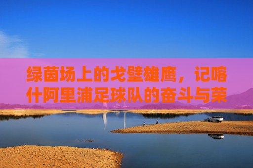 绿茵场上的戈壁雄鹰，记喀什阿里浦足球队的奋斗与荣光