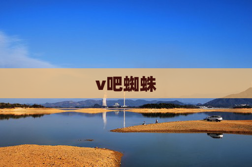 v吧蜘蛛