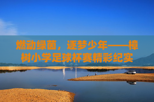 燃动绿茵,逐梦少年——樟树小学足球杯赛精彩纪实