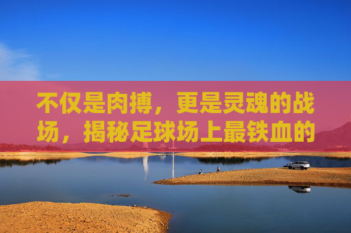 不仅是肉搏,更是灵魂的战场,揭秘足球场上最铁血的位置