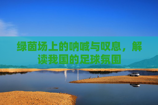 绿茵场上的呐喊与叹息，解读我国的足球氛围