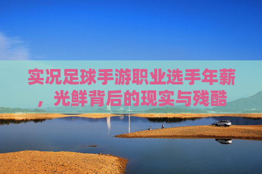 实况足球手游职业选手年薪,光鲜背后的现实与残酷