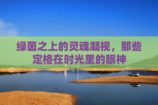 绿茵之上的灵魂凝视，那些定格在时光里的眼神