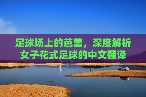 足球场上的芭蕾，深度解析女子花式足球的中文翻译