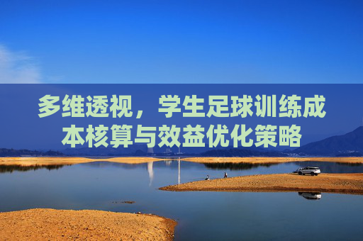 多维透视,学生足球训练成本核算与效益优化策略