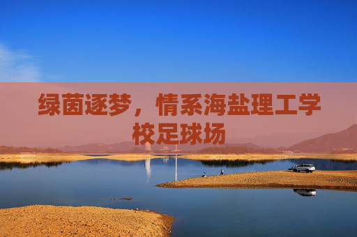 绿茵逐梦,情系海盐理工学校足球场