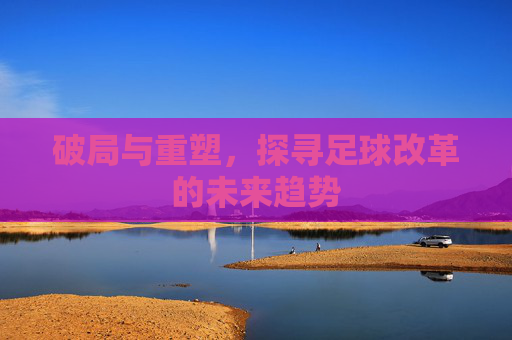 破局与重塑,探寻足球改革的未来趋势